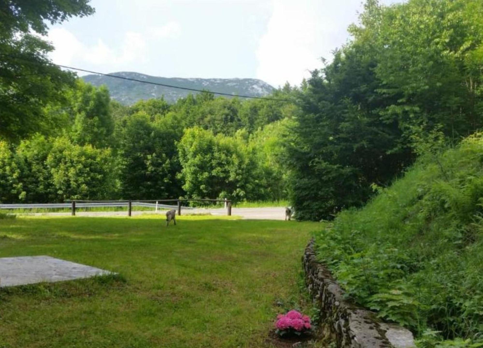 Mountain Pearl Velebit * Baske Ostarije